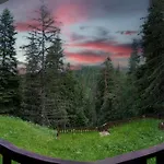 Mursala Pamporovo