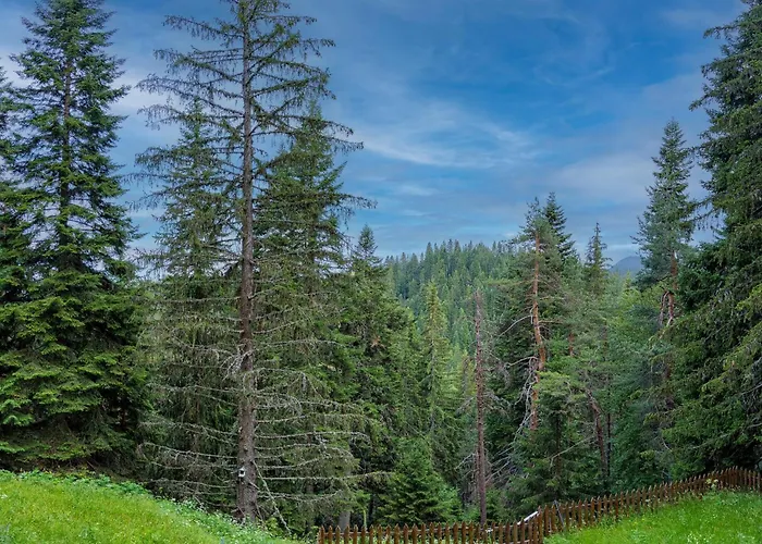 Mursala Апартаменты *